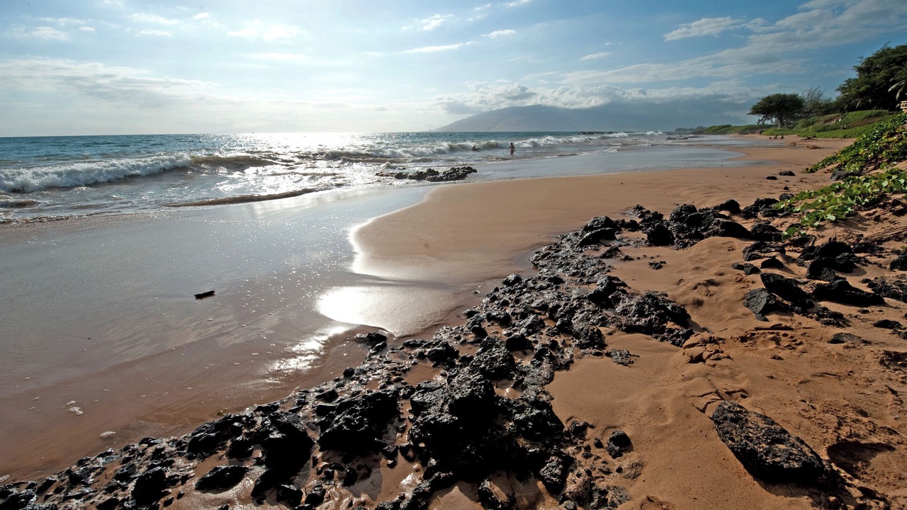 Photo of Others in Kihei