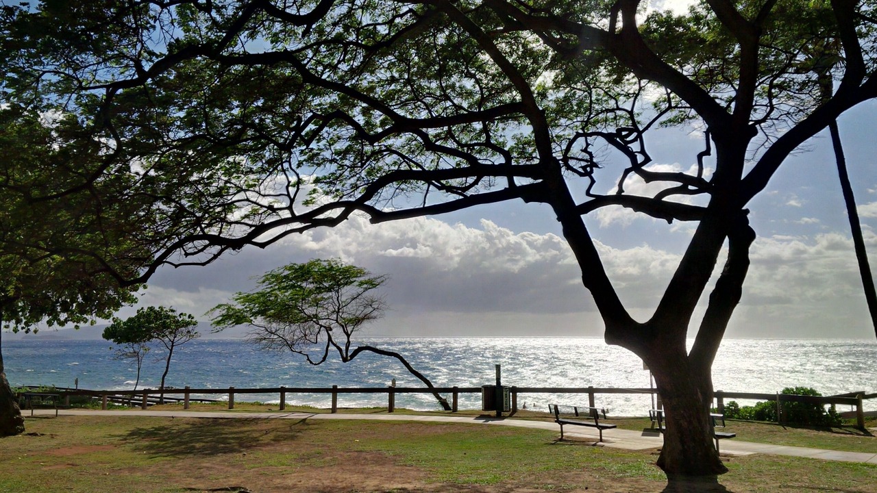 Photo of Others in Kihei