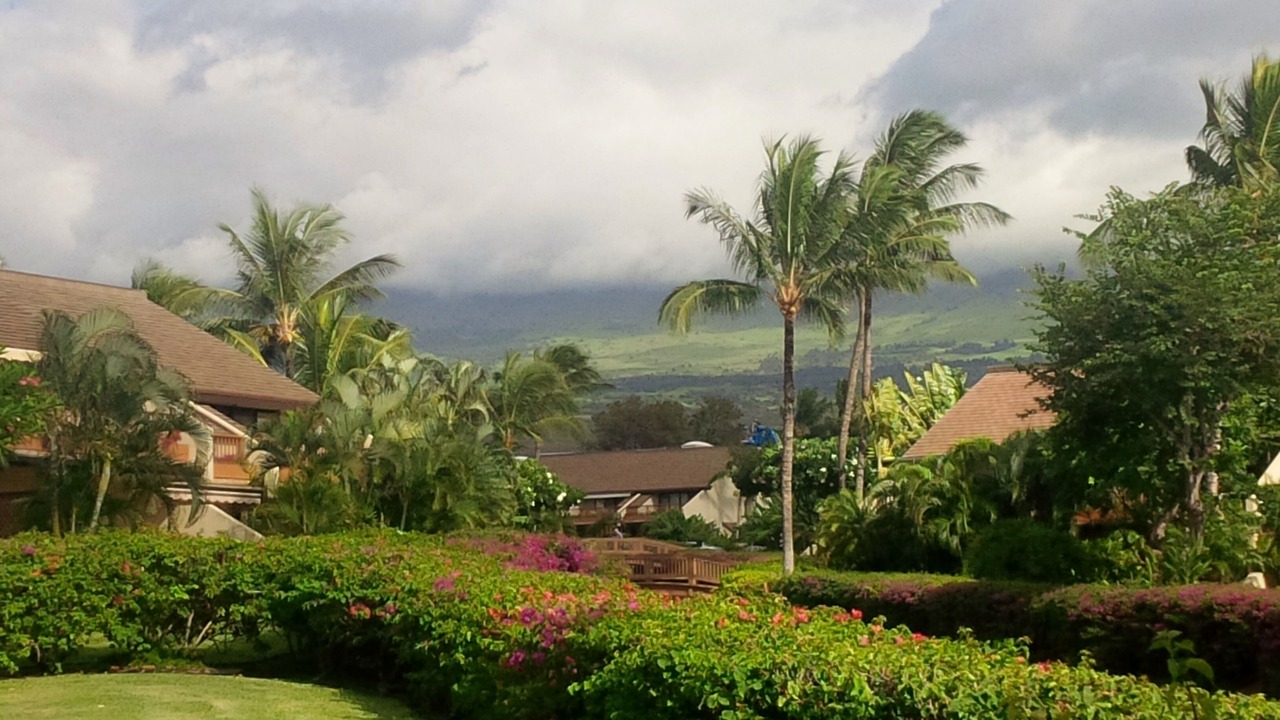 Photo of Others in Kihei