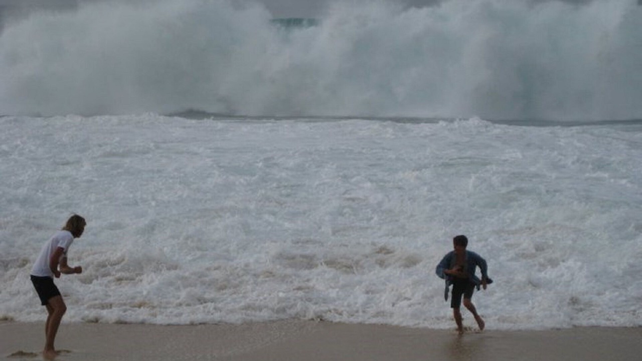 Photo of Others in Pupukea