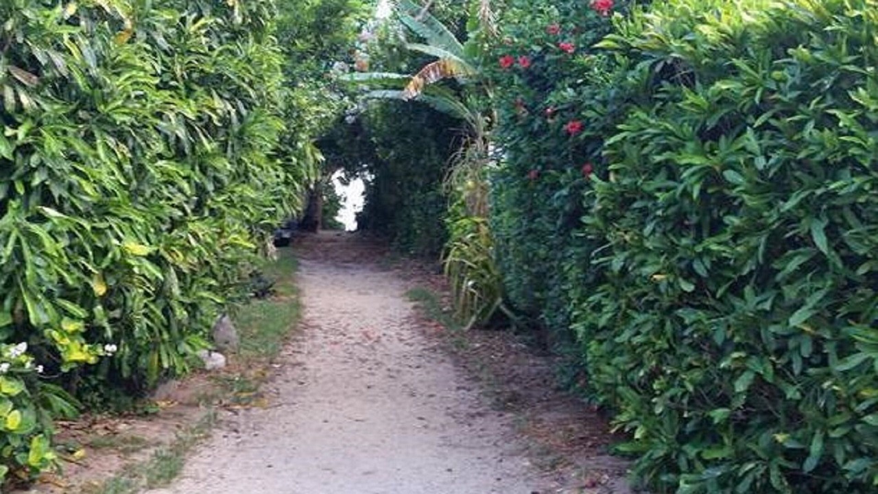 Photo of Outdoor in Pupukea