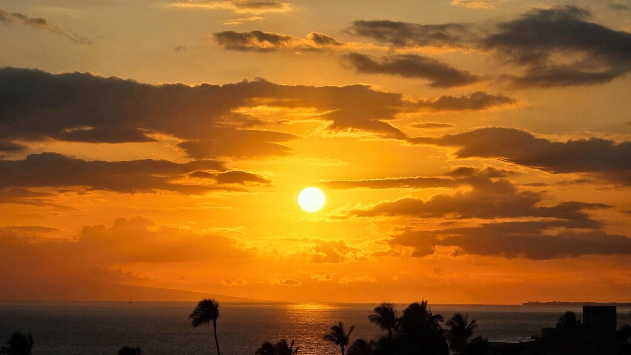 Photo of Others in Kihei