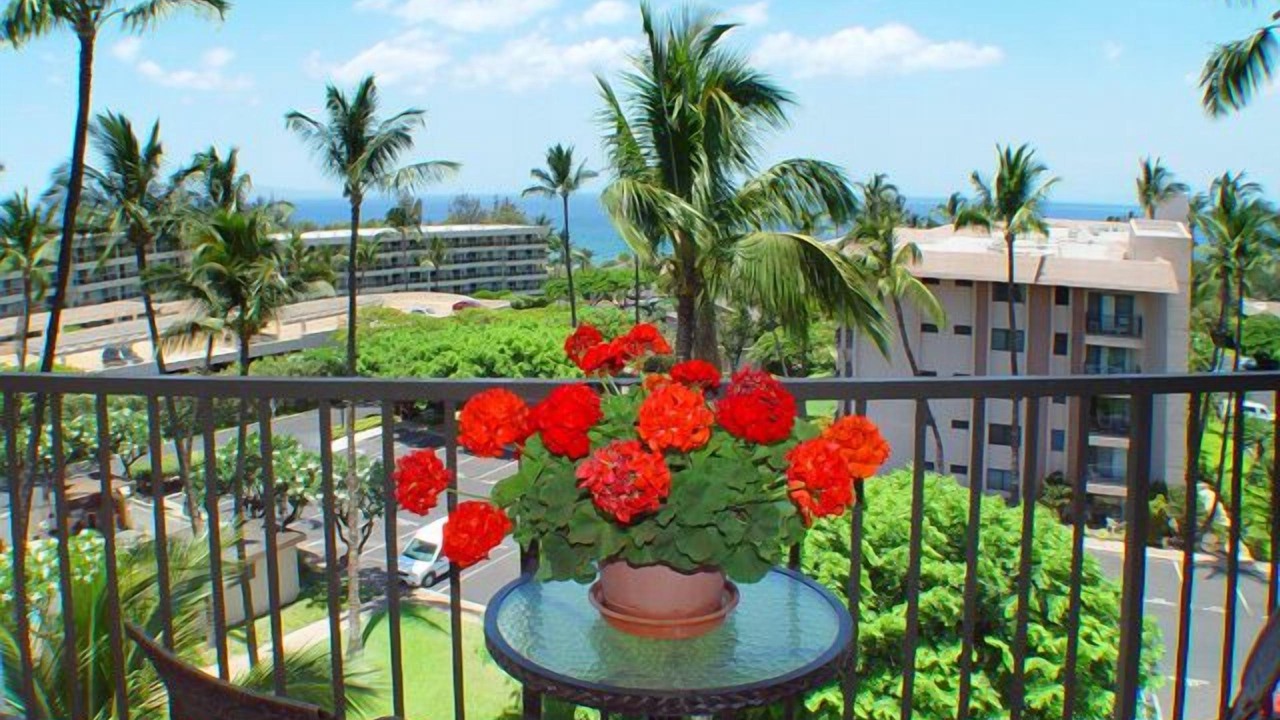 Photo of Outdoor in Kihei