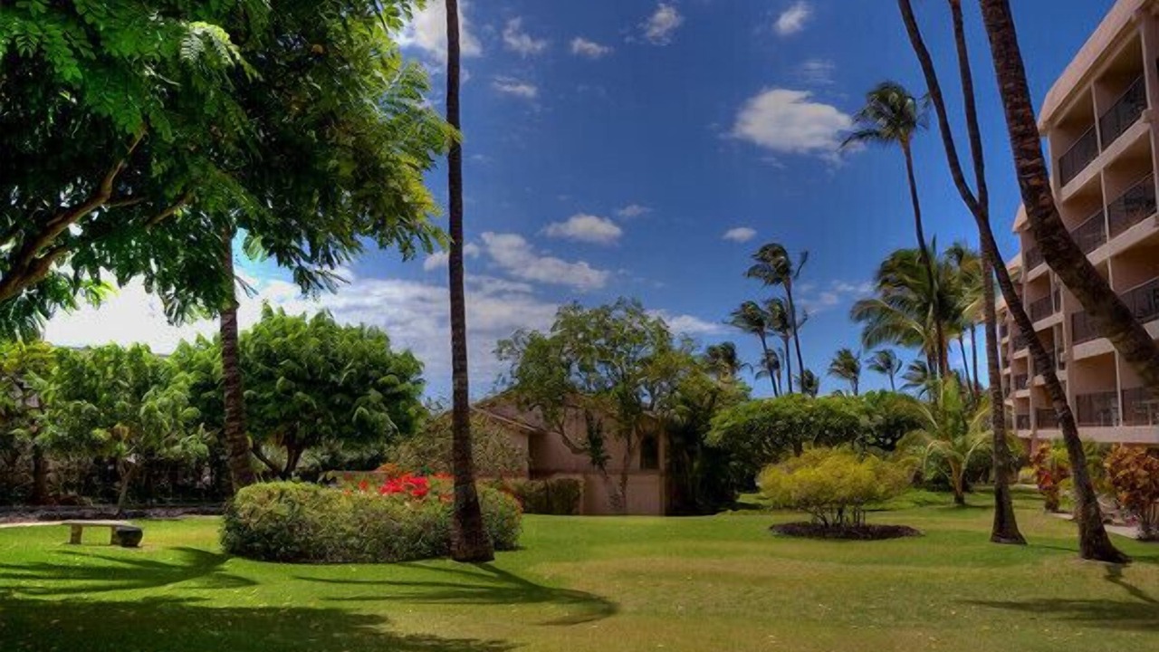 Photo of Others in Kihei