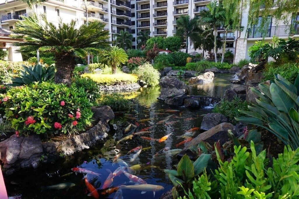 Photo of Outdoor in Ko Olina