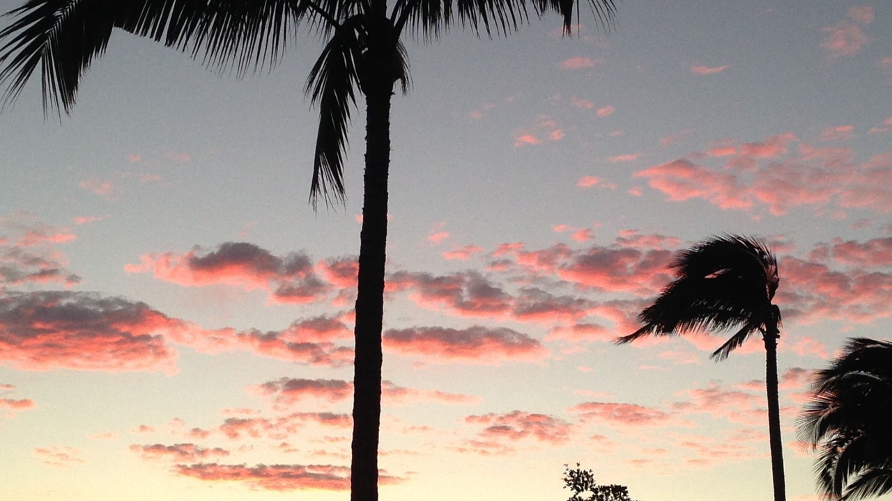 Photo of Others in Hilo