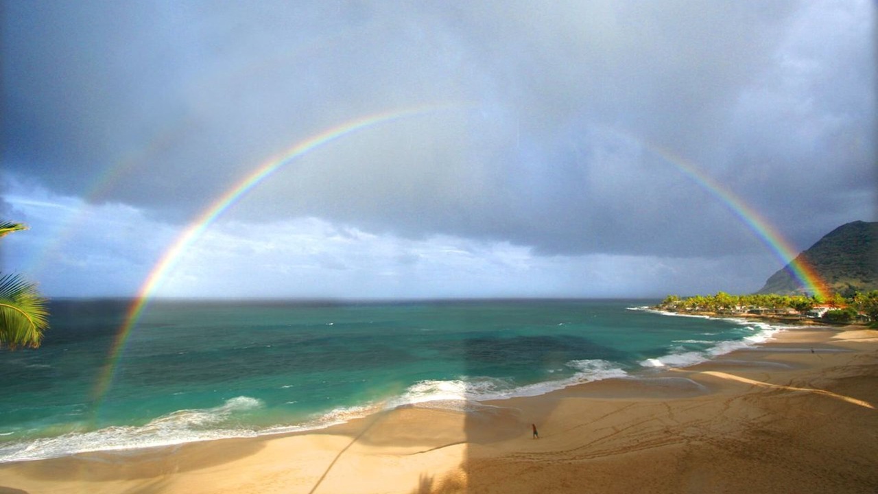 Photo of Others in Makaha