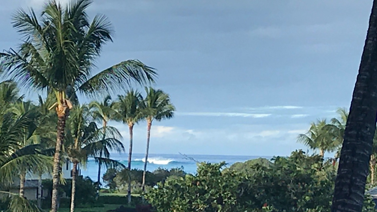 Photo of Others in Waikoloa