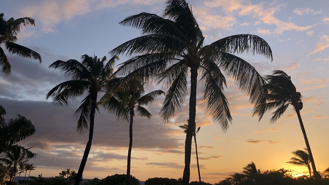 Photo of Others in Waikoloa