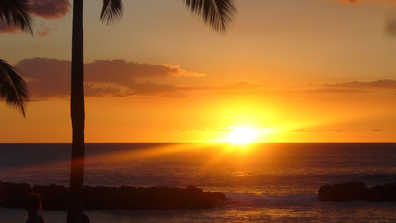 Photo of Others in Ko Olina