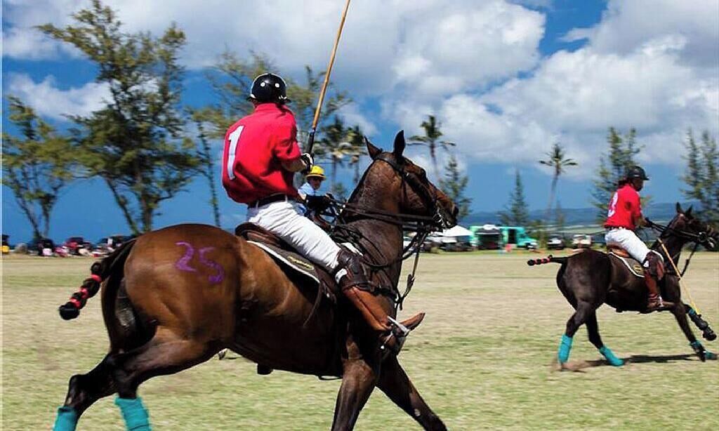 Photo of Others in Mokuleia