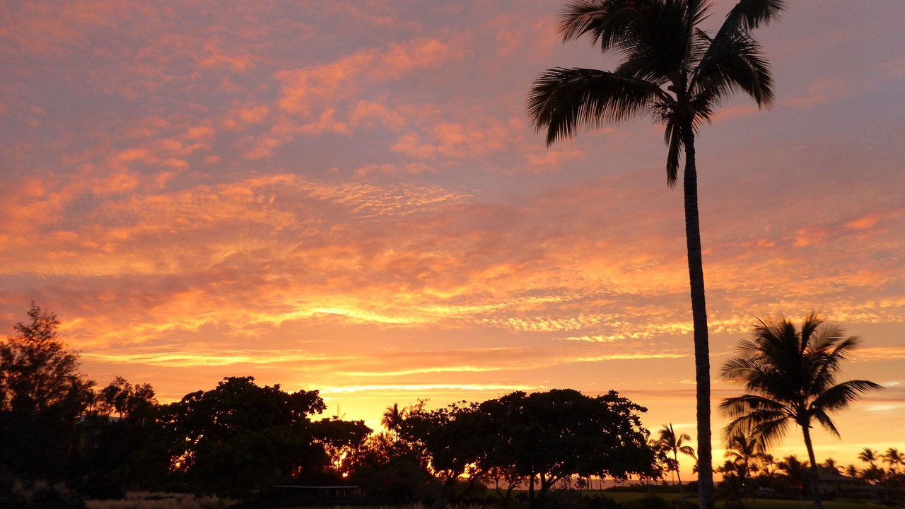 Photo of Others in Waikoloa