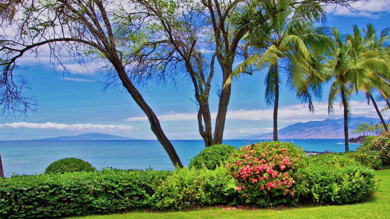 Photo of Others in Wailea