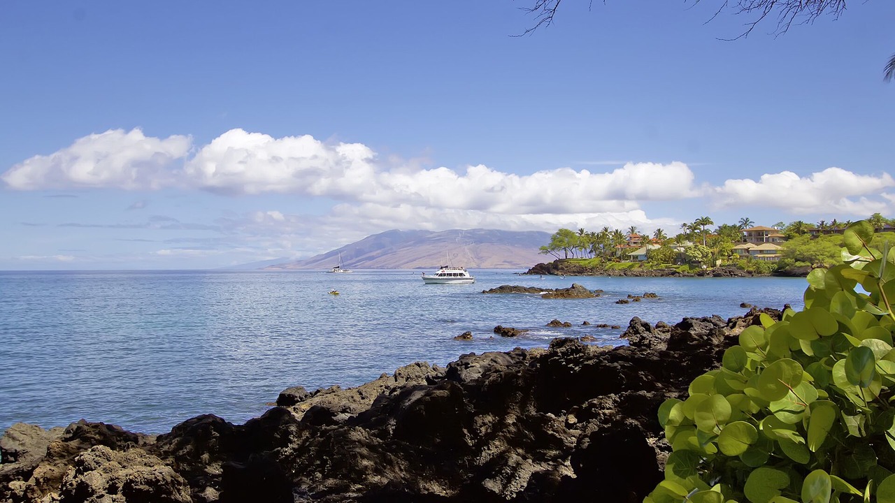 Photo of Others in Wailea