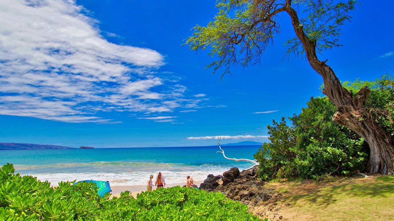 Photo of Others in Wailea
