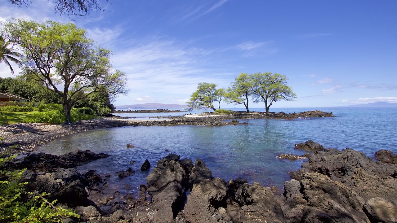 Photo of Others in Wailea
