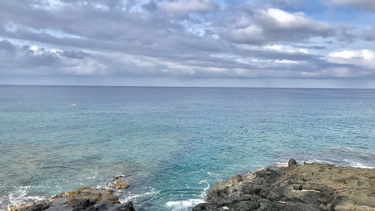 Photo of Others in Kahaluu Bay