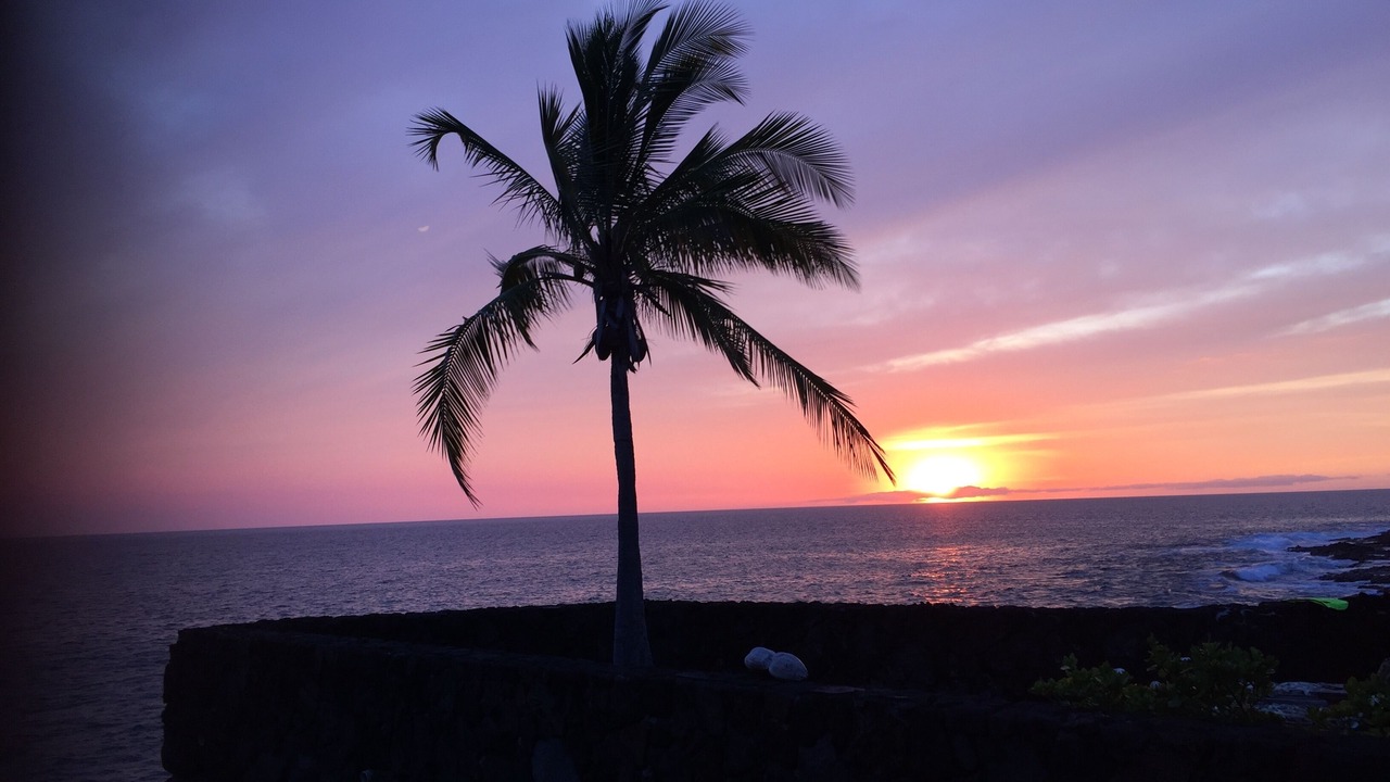 Photo of Others in Kahaluu Bay