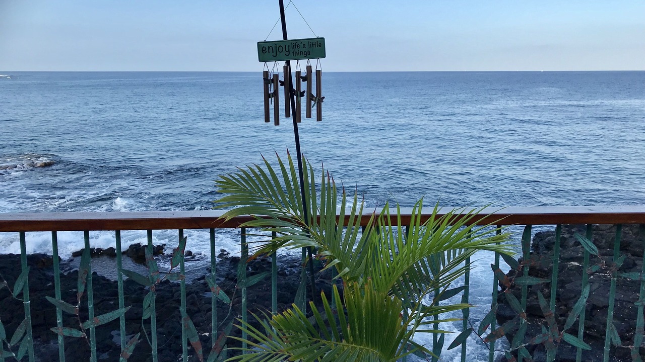 Photo of Others in Kahaluu Bay