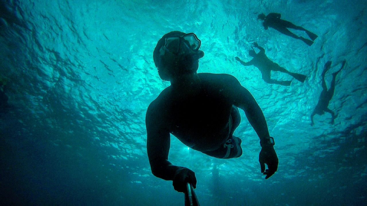 Photo of Others in Waialee