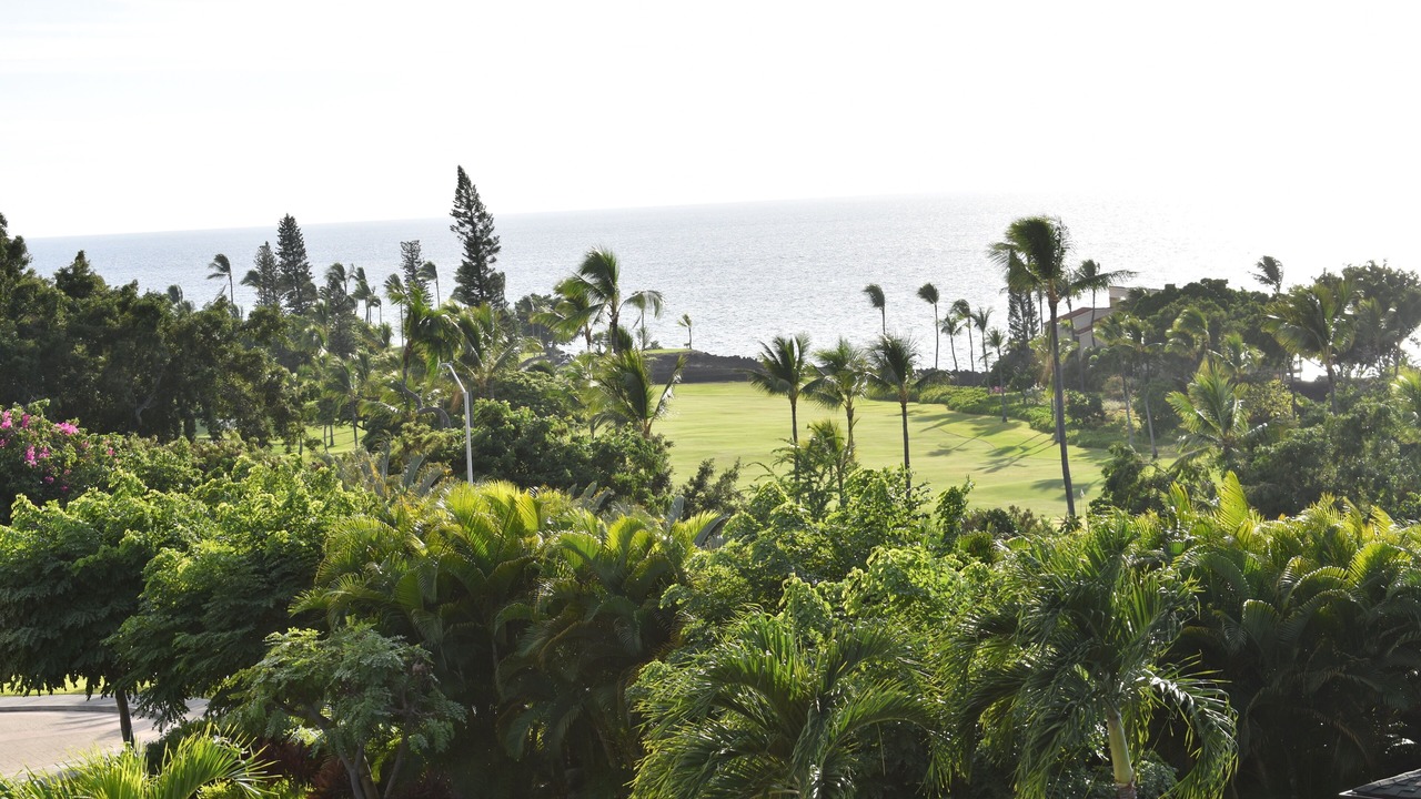 Photo of Others in Kahaluu-Keauhou