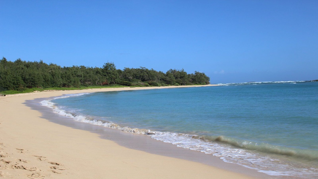 Photo of Others in Laie