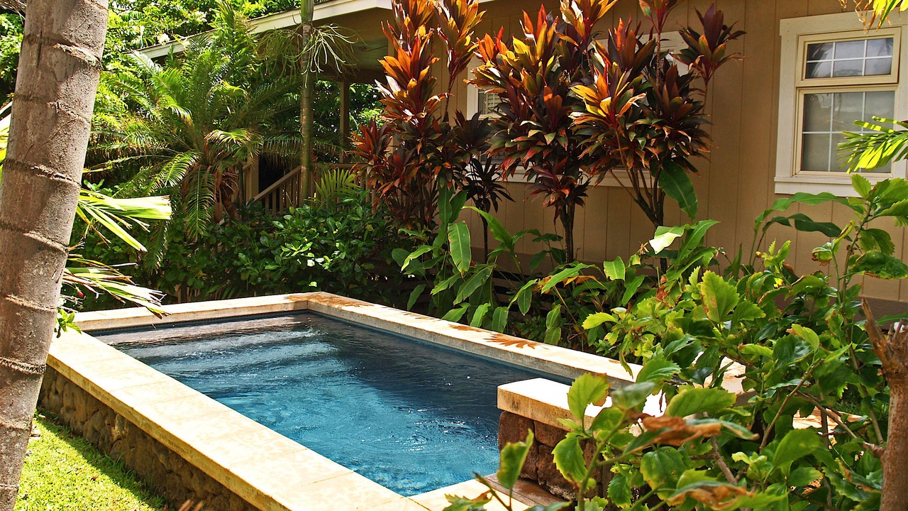 Photo of Outdoor in Poipu