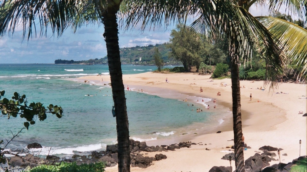 Photo of Others in Waialee