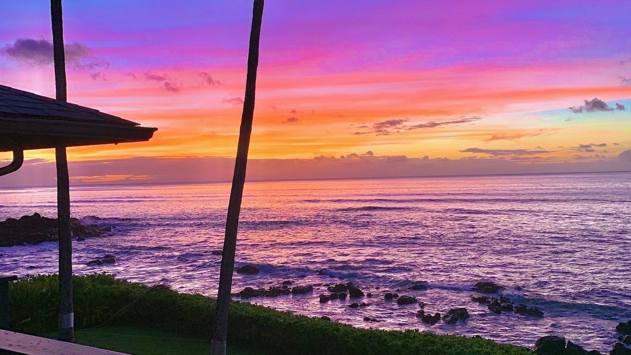 Photo of Others in Waialee