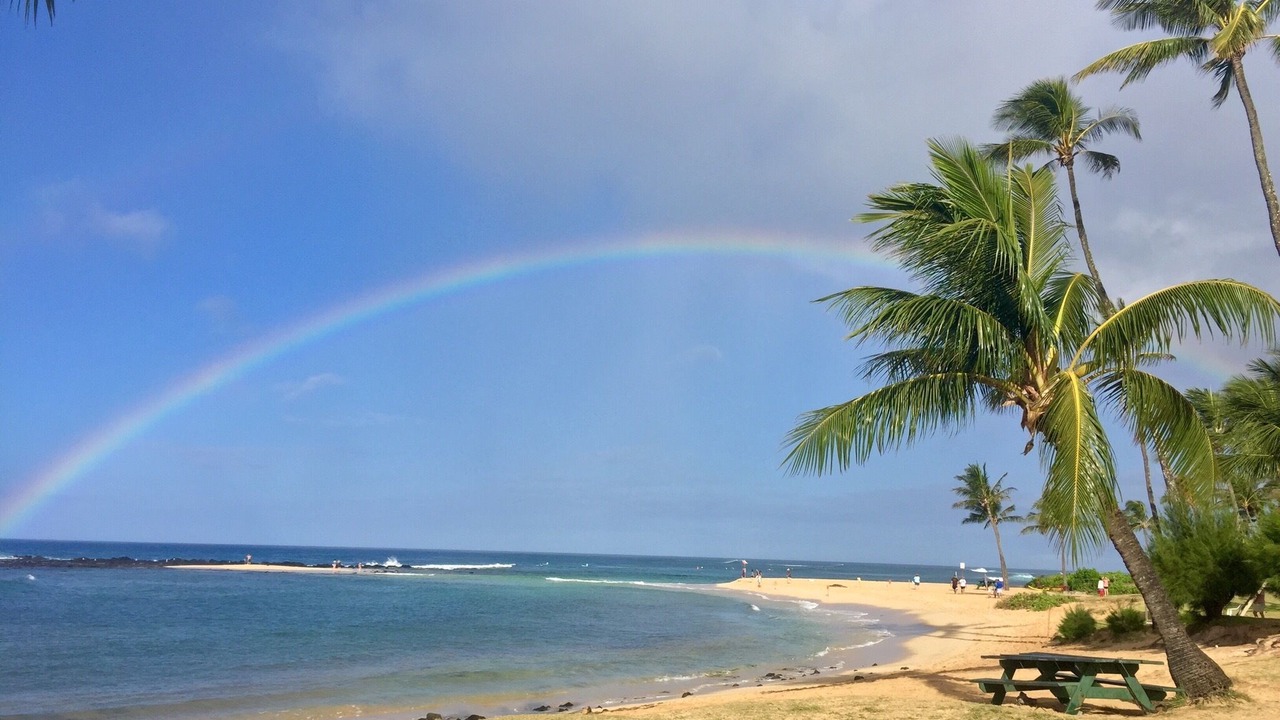 Photo of Others in Poipu