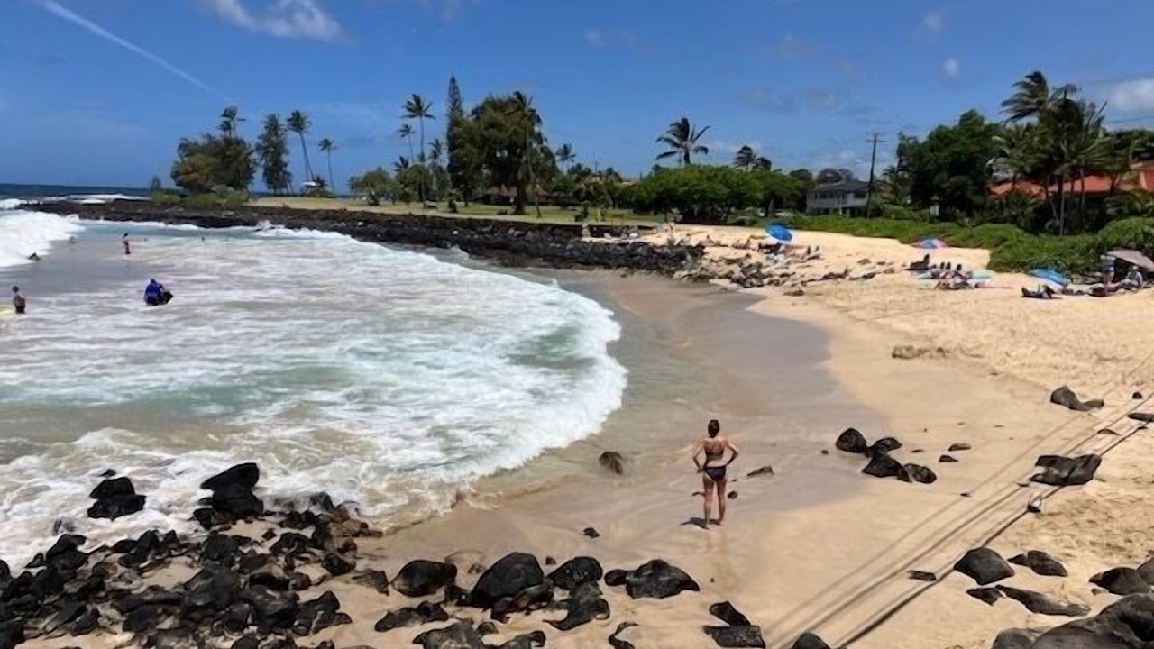 Photo of Others in Poipu
