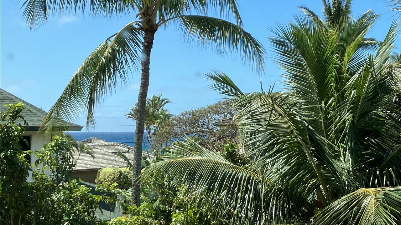 Photo of Others in Poipu