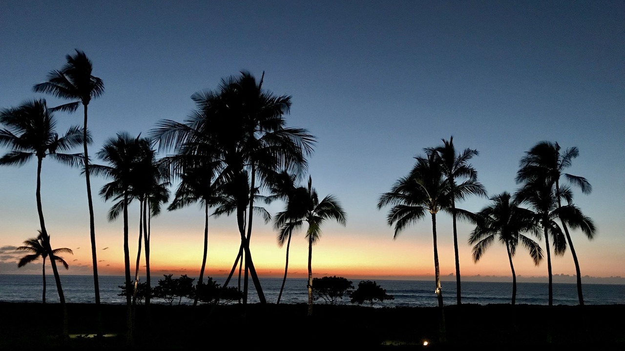 Photo of Others in Kapolei
