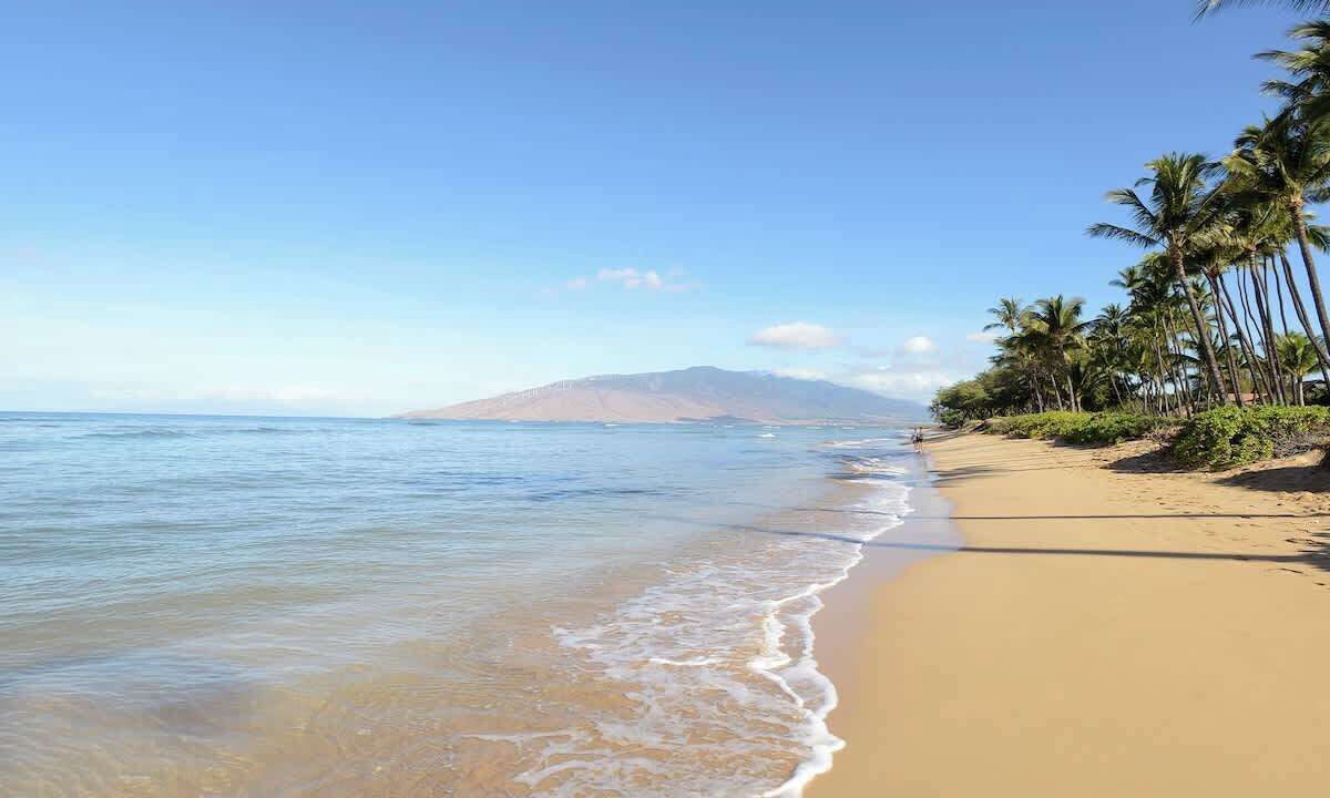 Photo of Others in Kihei