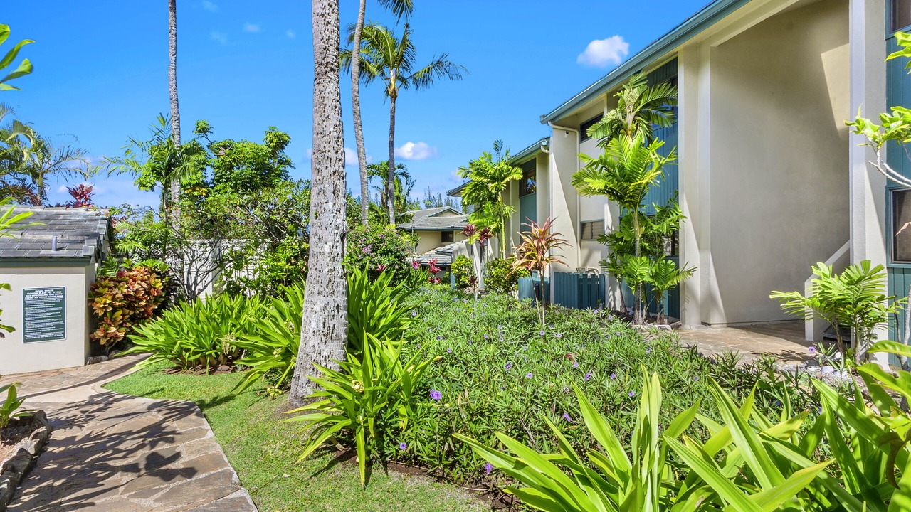 Photo of Others in Napili