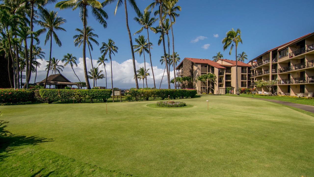 Photo of Others in Honokowai