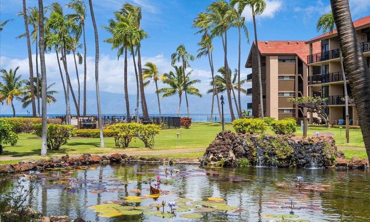 Photo of Outdoor in Honokowai