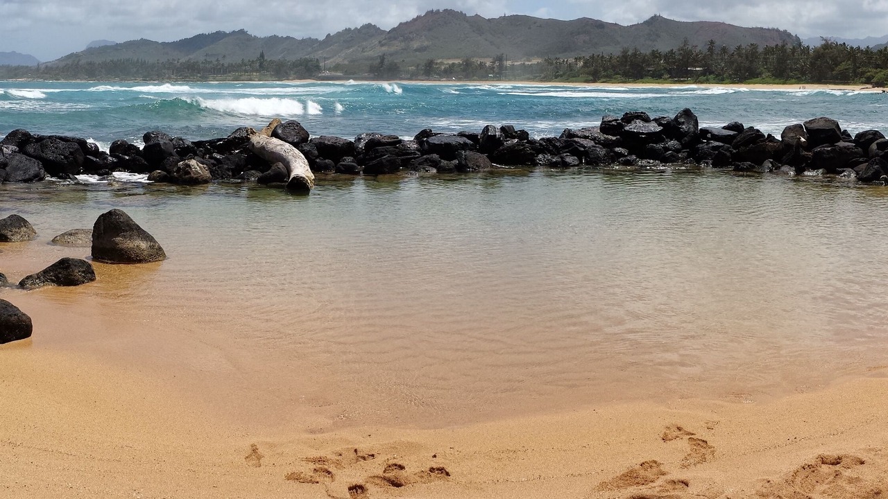 Photo of Others in Wailua