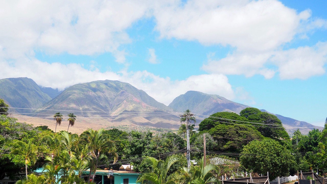 Photo of Outdoor in Historic Lahaina Front Street