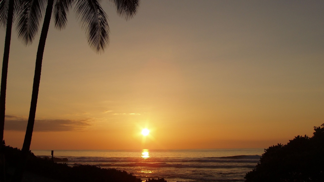 Photo of Others in Ko Olina