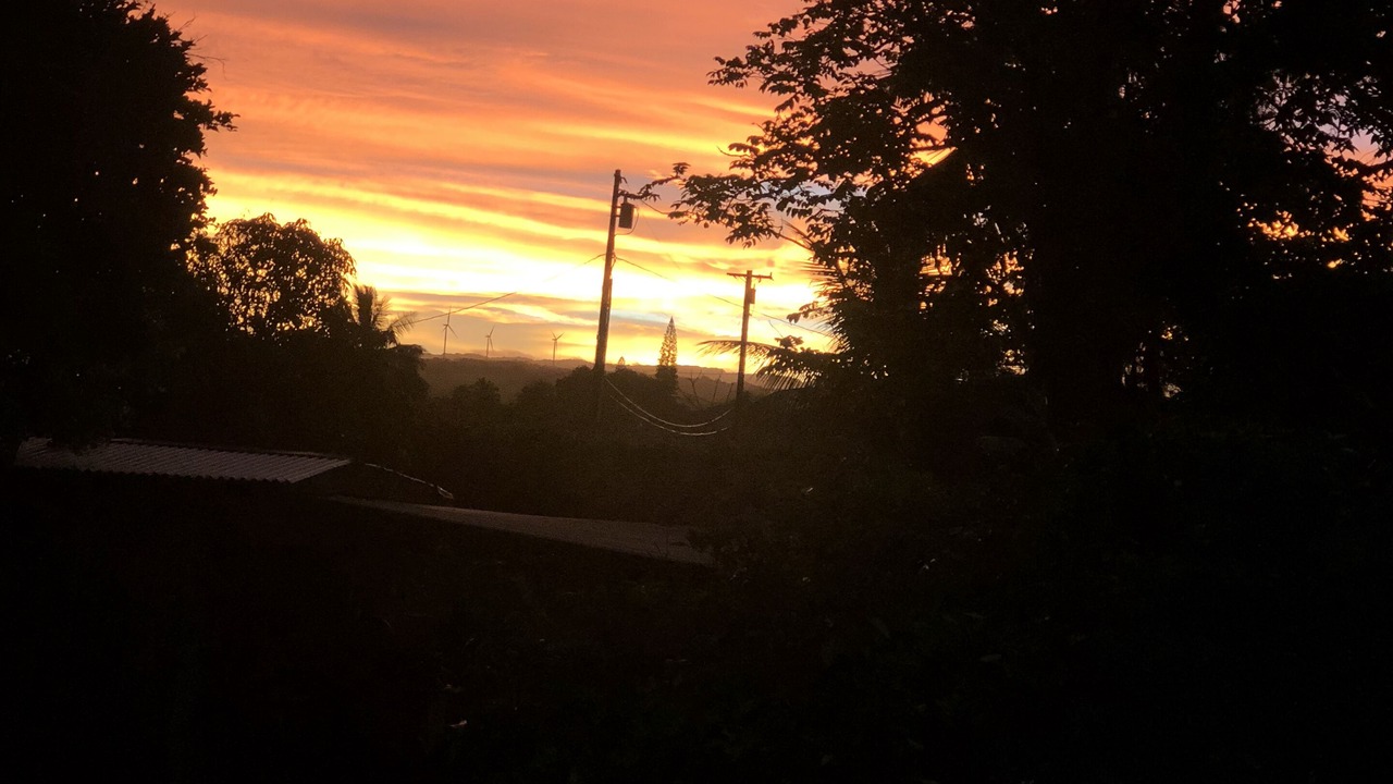 Photo of Outdoor in Waialee