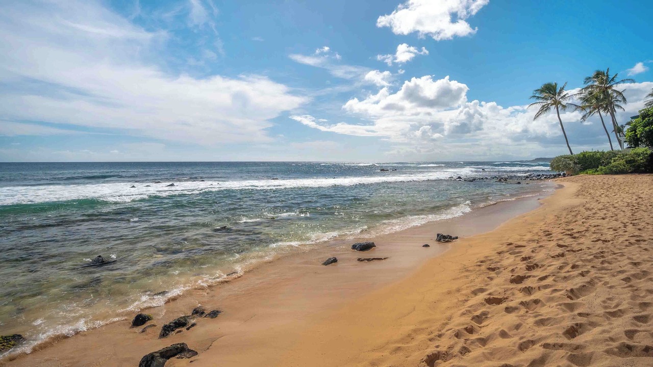 Photo of Others in Poipu