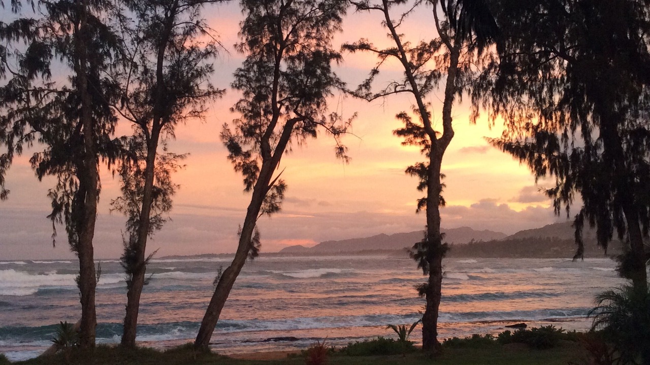 Photo of Others in Wailua