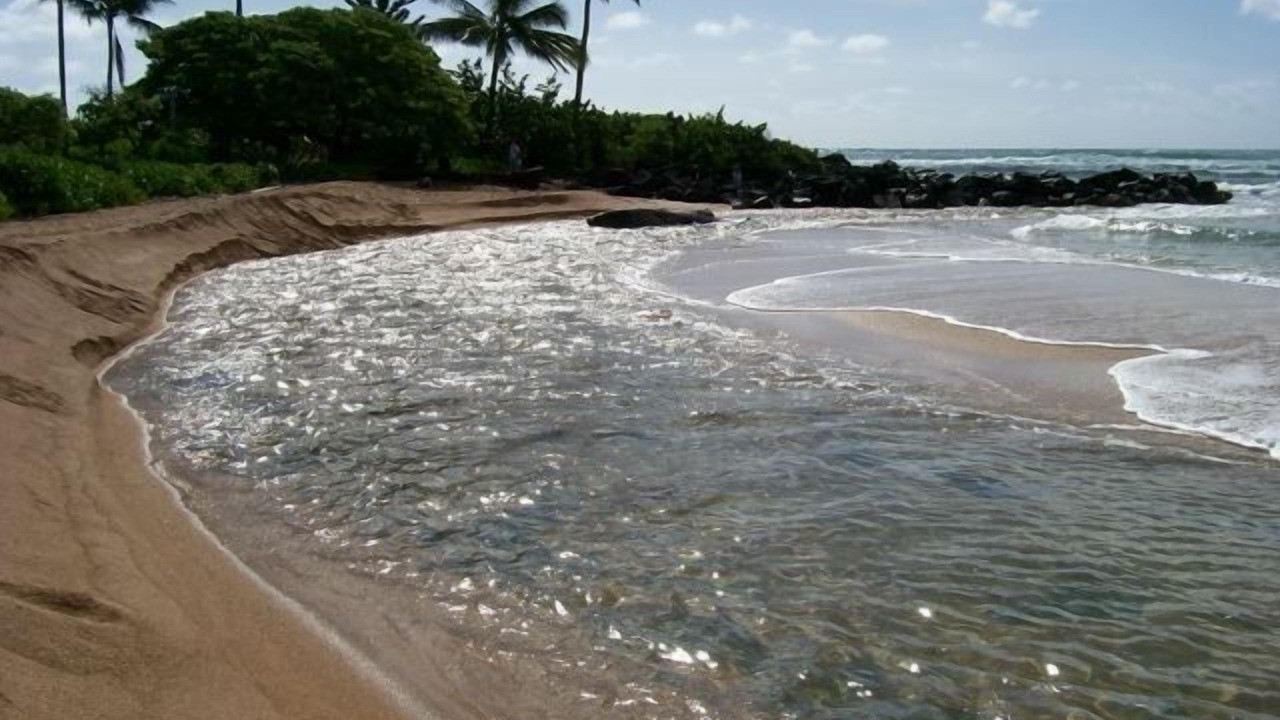 Photo of Others in Wailua