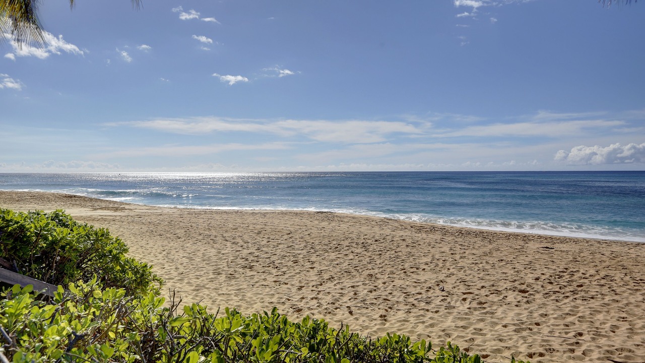 Photo of Others in Makaha