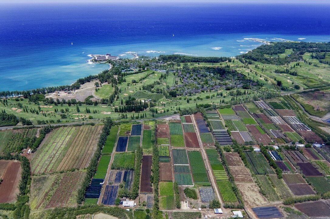 Photo of Others in Kahuku
