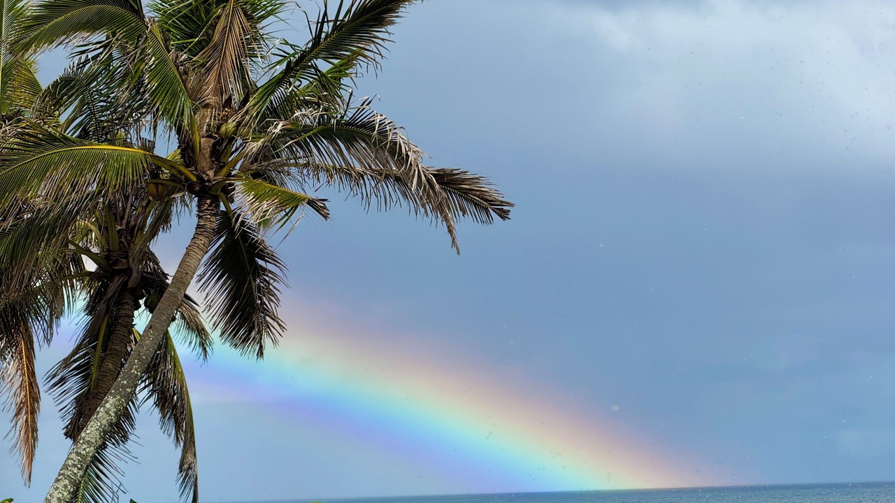 Photo of Others in Mokuleia