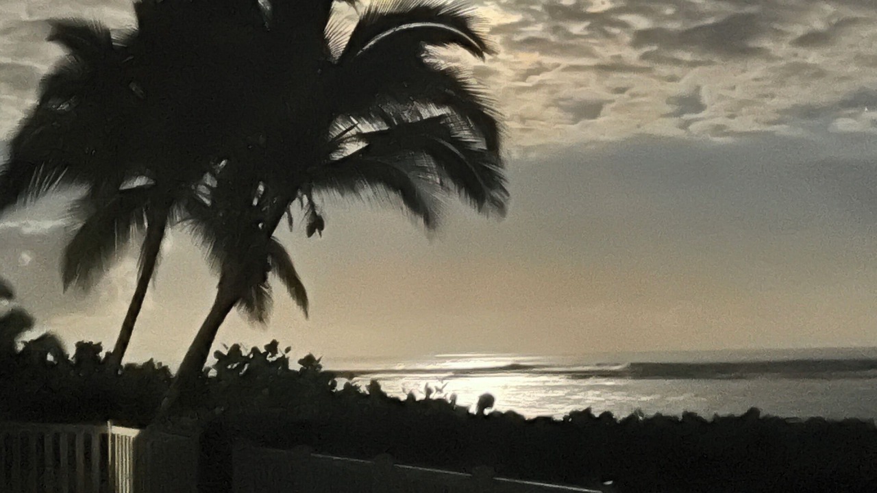 Photo of Others in Mokuleia