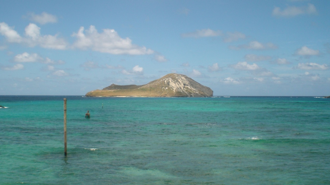 Photo of Others in Waimanalo Beach