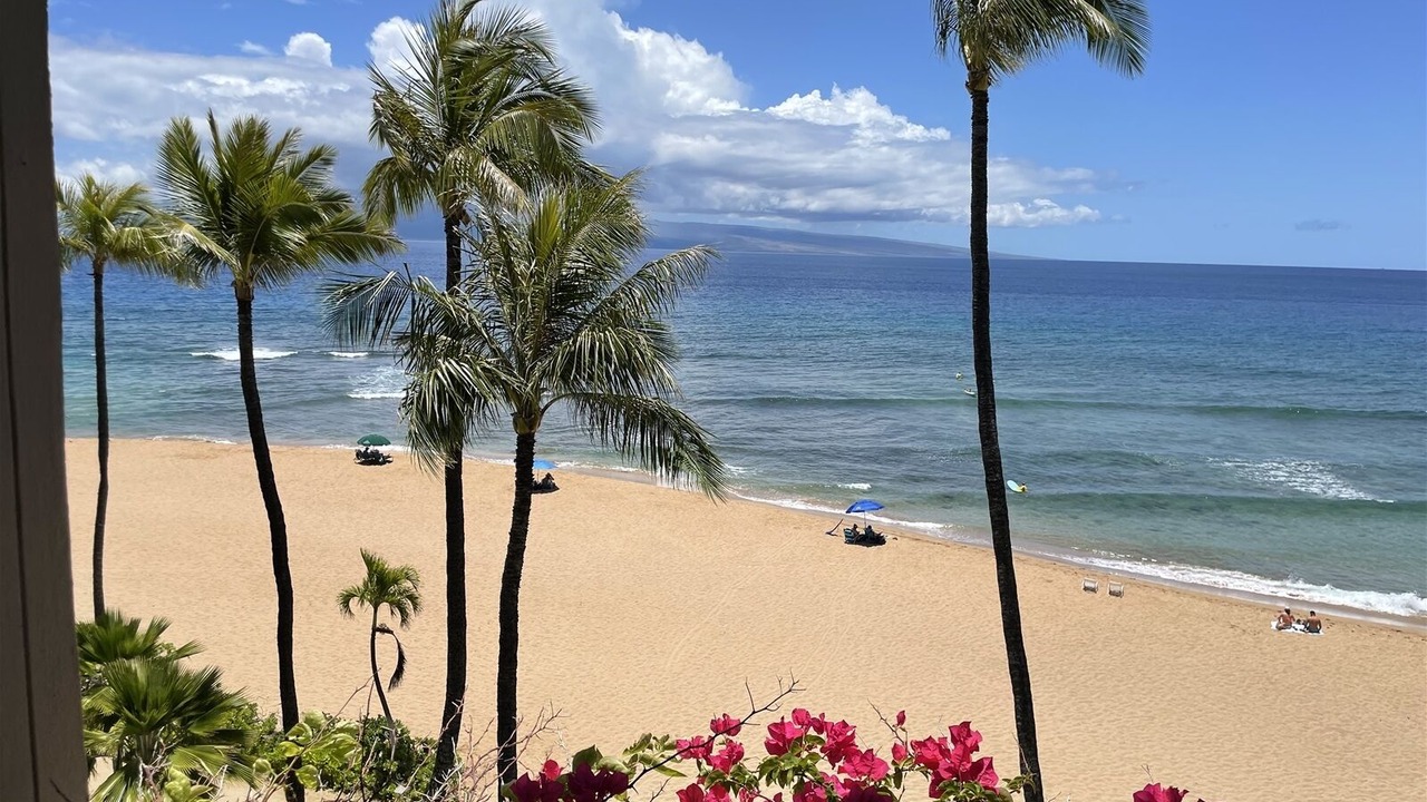 Photo of Others in Lahaina